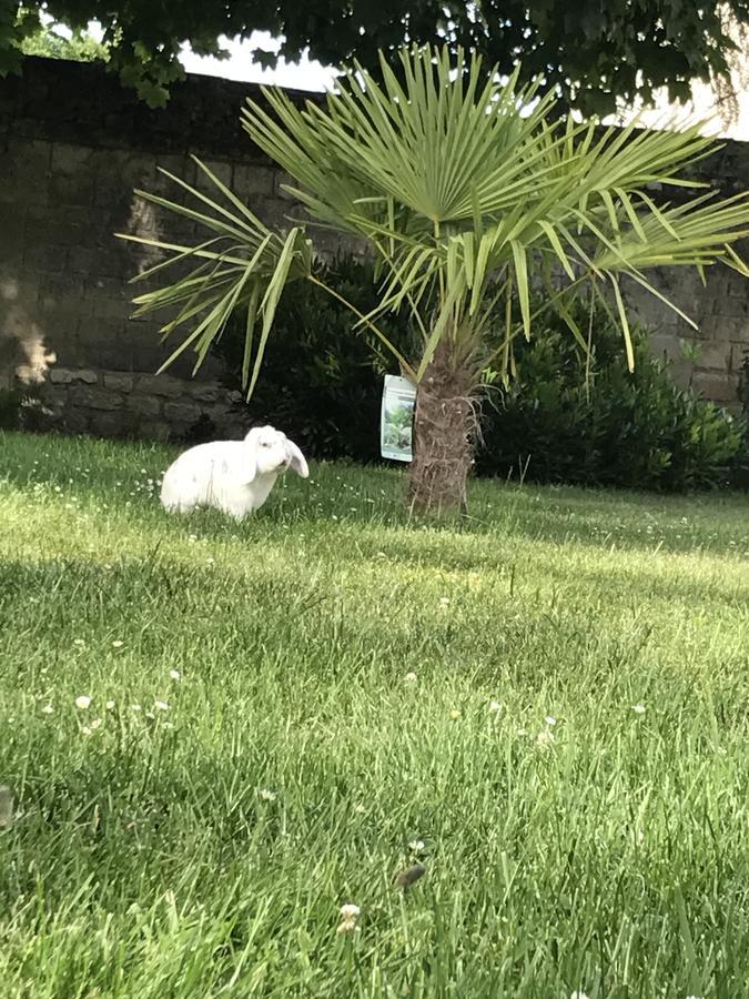 Residence La Buissonniere Compiègne Dış mekan fotoğraf